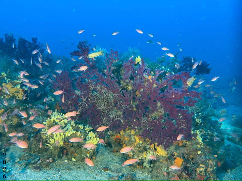 Relitto 